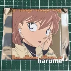 名探偵コナン　コナンランド　TDメモリアル缶バッジ vol.5 灰原哀×1
