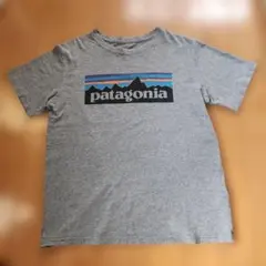 パタゴニア Tシャツのサムネイル