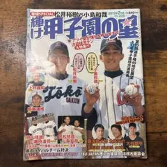 大谷翔平 - 北海道日本ハムファイターズ (スポーツアルバム No. 47
