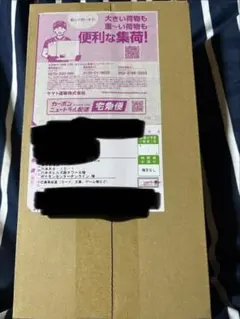 【シュリンク付き】スペシャルBOX ポケモンセンター ヒロシマ BOX 未開封