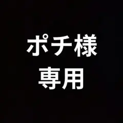 ポチ様【専用】です