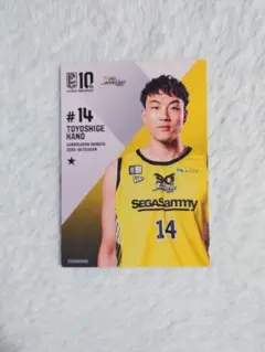 Item thumbnail for item 2494f604-4e38-40ae-9746-88c3471fa140