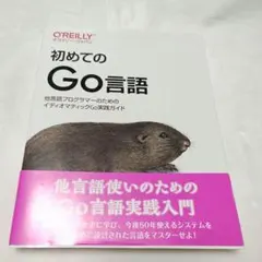 初めてのGo言語 : 他言語プログラマーのためのイディオマティックGo実践ガイド