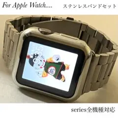 Apple Watch ステンレスバンド　シルバーⅡ　保護ケースセット
