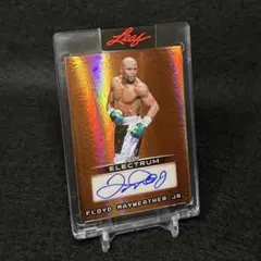 Item thumbnail for item f24c1fa1-ac74-4778-b24d-96ddeed03bd5