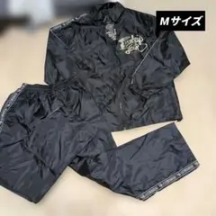 Item thumbnail for item e629b36a-1407-41cc-b73b-cb9d7cb771ba