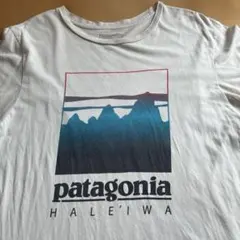 Item thumbnail for item 117d517d-3a14-448a-9eba-e2696dad445d