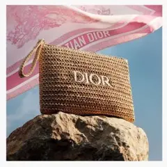 DIOR ディオール サマーポーチ 未開封品 ノベルティ