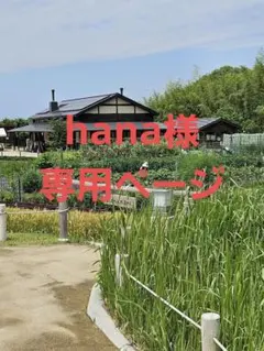 hana様専用ページ