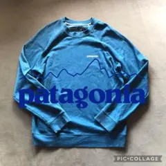 patagonia Logo Organic Crew Sweat