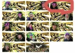 阪神タイガース　優勝グッズ　トラホータオル　梅野選手