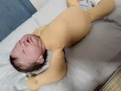 Item thumbnail for item 558f8ebc-a089-4408-900b-99e0e8ed15bd