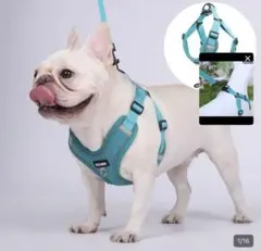 Item thumbnail for item d0cc0584-2c1c-4673-98d4-0f82c8eaab33