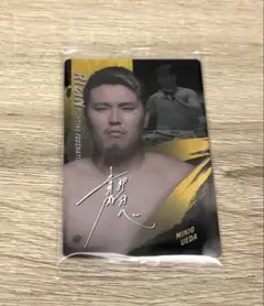 Item thumbnail for item 6637d5a9-9c6f-4977-bfc0-b24d0ea860c1