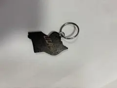 Item thumbnail for item b4ef87d7-11b4-4198-babb-17c9ad969b17