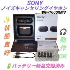 【動作OK】ソニー　ワイヤレスノイズキャンセリングイヤホン　WF-1000XM3