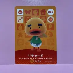 しょこ様ご専用