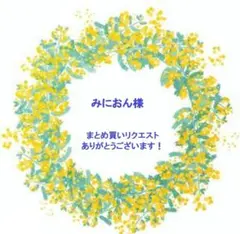みにおん様 リクエスト 2点 まとめ商品