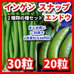 インゲン＆スナップえんどうの種セット⭕️のサムネイル