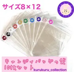 キャンディバッグ キーホルダー 袋 8×12cm 10枚セット バッグ ポーチ