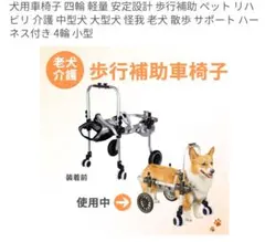 2026年最新】ミニチュアダックス 車椅子の人気アイテム - メルカリ