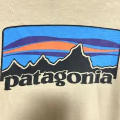 パタゴニア　ロング Tシャツのサムネイル