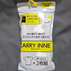 Item thumbnail for item 8c641924-281c-4f63-b859-d67b38758f4d