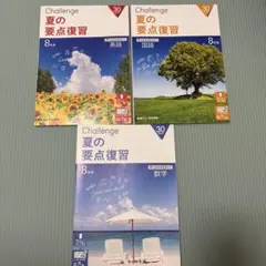 進研ゼミ 高校講座 夏の要点復習 国語 英語 数学