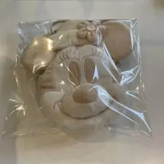 クリスマスディズニーグッズ ディズニーポーチ ミニーマウス