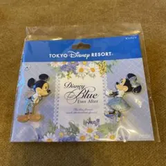 東京ディズニーリゾート ミッキーマウス ピンバッジ 2個セット