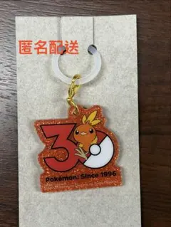 ポケモン 30周年 ロゴマスコット アチャモ チャーム