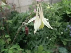 そふも様 リクエスト 3点 まとめ商品