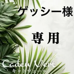 ゲッシー様 リクエスト 2点 まとめ商品