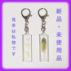 Item thumbnail for item 88b347c1-9534-4f21-b046-7ab5f3569e25