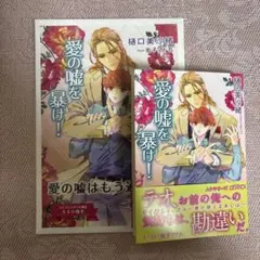 愛の嘘を暴け! BL小説