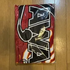 2026年最新】矢沢永吉ビーチタオルタオルの人気アイテム - メルカリ