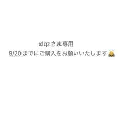 xlqzさま 専用出品 9/20まで☺︎