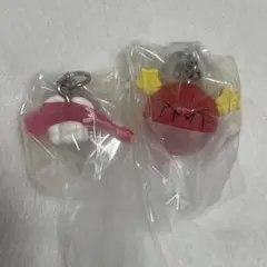 ポケモン　めじるしアクセサリー2 シャリタツ　ビビリダマ