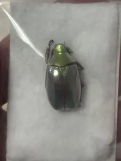 2026年最新】プラチナコガネ 標本の人気アイテム - メルカリ