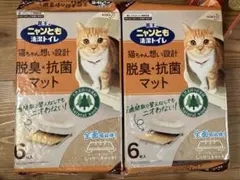 脱臭抗菌マット 6枚入り5パックのサムネイル
