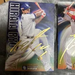 2019 プロ野球カードセット平田良介浅村栄斗大山悠輔　他ノーマルカード50枚程