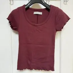Abercrombie & Fitch XS バーガンディ Tシャツ