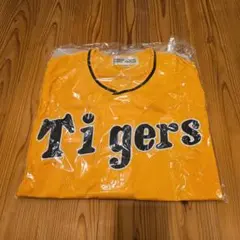 Item thumbnail for item dcadf6d4-e4bd-4a40-b9ab-2b1e7b8a6198