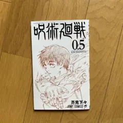 呪術廻戦 0.5 芥見下々