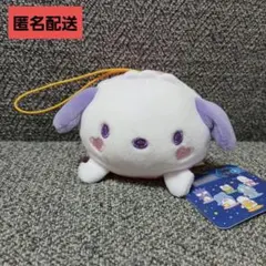 ③　ポチャッコ　はぴだんぶい　スターもっちりリラックス　マスコット　新品未使用のサムネイル