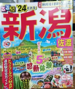 Item thumbnail for item 739d74c5-3d3c-44bf-8be3-5d71d4d5c196