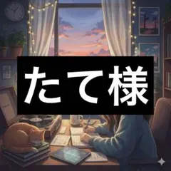 ベルト(シルバーB)