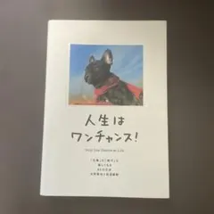 人生はワンチャンス! 「仕事」も「遊び」も楽しくなる65の方法
