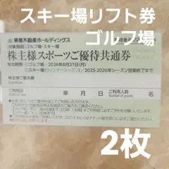 スポーツご優待共通券 スキー場リフト券 東急不動産ホールディングス 2枚