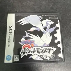 ポケットモンスター ブラック DS カセット 動作確認済み